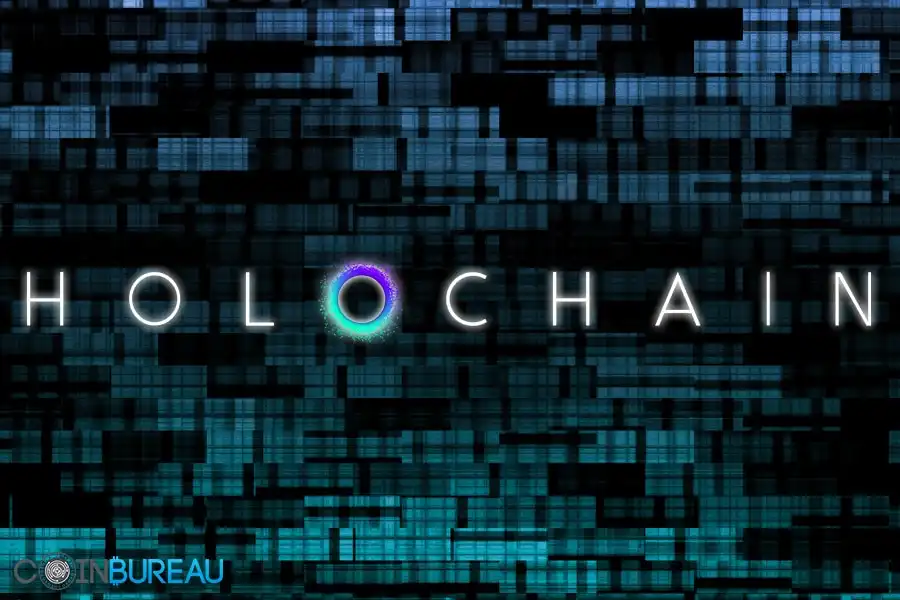 Holochain Picture